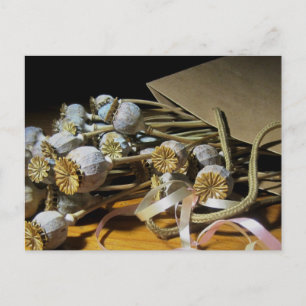 Trockenpoppy-Pods der Blume Postkarte