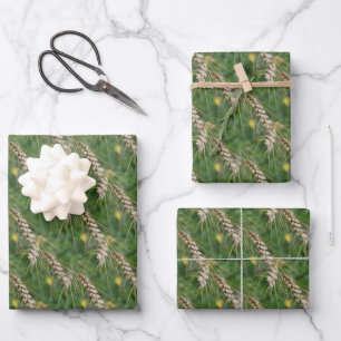 Trockenrasen-Naturmuster Geschenkpapier Set