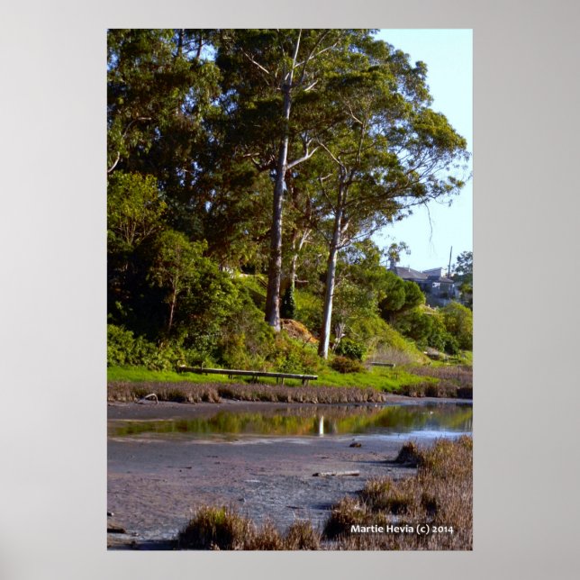 Trockensee Poster (Vorne)