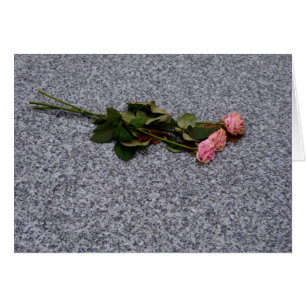 Trocknen rosa Rosen