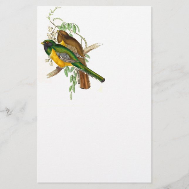 Trogon Bird BT Stationery Briefpapier (Vorderseite)