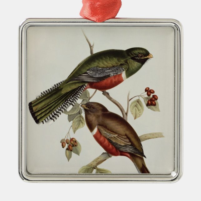 Trogon Collaris Ornament Aus Metall (Vorne)