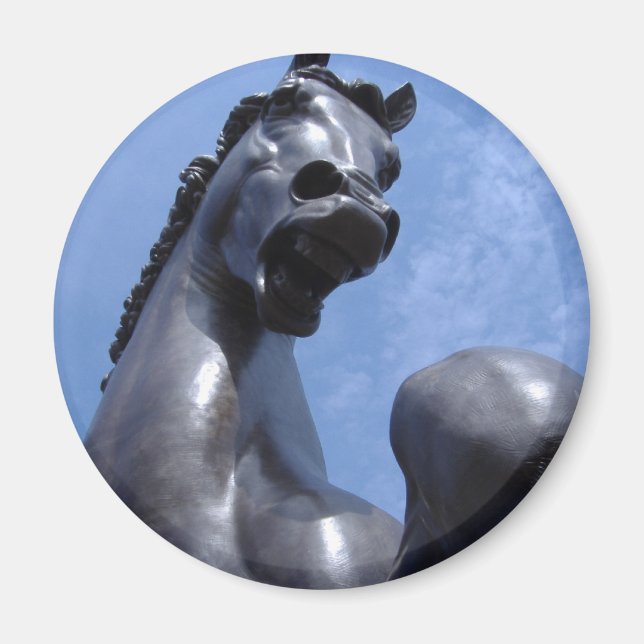 Trojaner Magnet (Vorne)