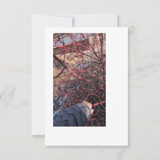 Troll Geocache Card Einladung (Vorderseite)