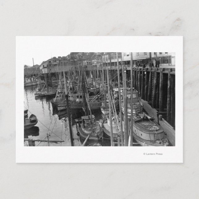 Trolling Fleet Ketchikan, Alaska Fotograf Postkarte (Vorderseite)