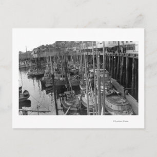 Trolling Fleet Ketchikan, Alaska Fotograf Postkarte