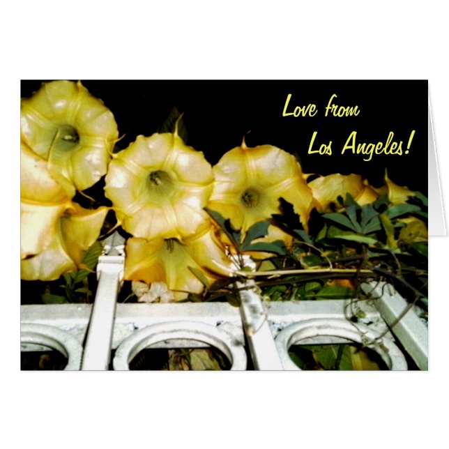 Trompete bei Nacht 1b (Vorderseite (Horizontal))