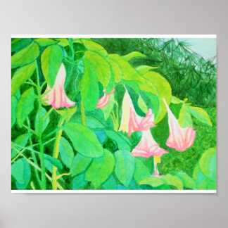 Trompete Blume und Zypressen, Aquarell Poster