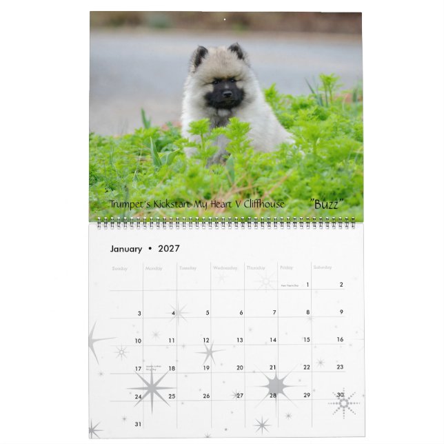 Trompetekeeshond-Kalender 2013 Ende Dezember Kalender (Jan 2027)