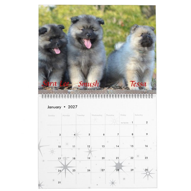 Trompetekeeshond-Kalender Kalender (Jan 2027)