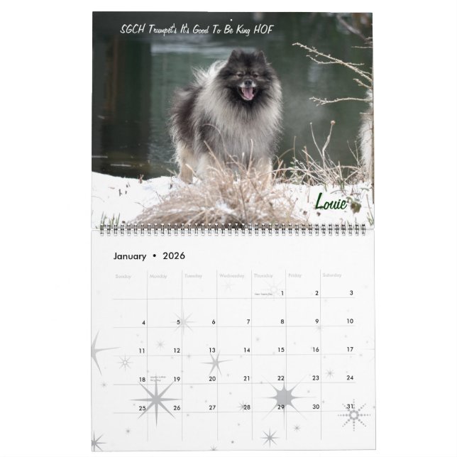 Trompetekeeshond-Kalender Kalender (Jan 2026)