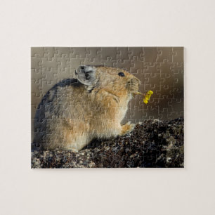 Trompeten der Sonnenaufgang Puzzle