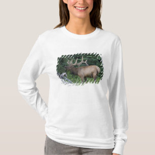 Trompetender Elch im Banff-Nationalpark, Kanada. T-Shirt