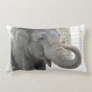 Trompetenelefant-Kissen Lendenkissen