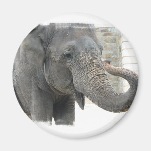 Trompetenelefant-runder Knopf Magnet