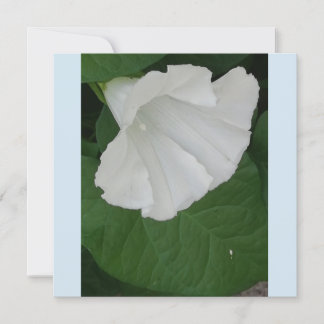 Trompetenförmige weiße Blume Einladung