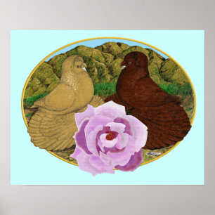 Trompeter-Tauben und Rose Poster