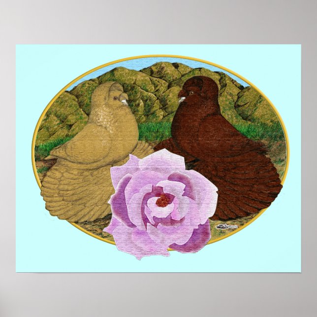 Trompeter Tauben und Rose Poster (Vorne)