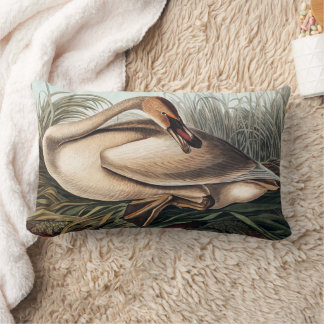 Trompeterschwan von John James Audubon Lendenkissen