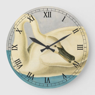 Trompeterschwan von John James Audubon, Vintage Vo Große Wanduhr