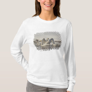 Trompeterschwäne im Madison River im Winter T-Shirt