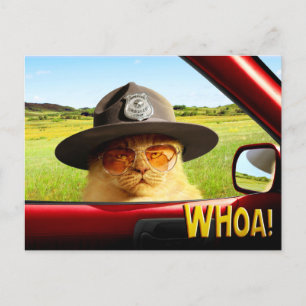 Trooper Cat Einladungspostkarte
