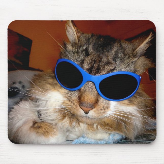 "Trooper die Katzen-" cooler Typ! Mousepad (Vorne)