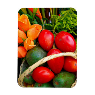 Tropenfrüchte Magnet