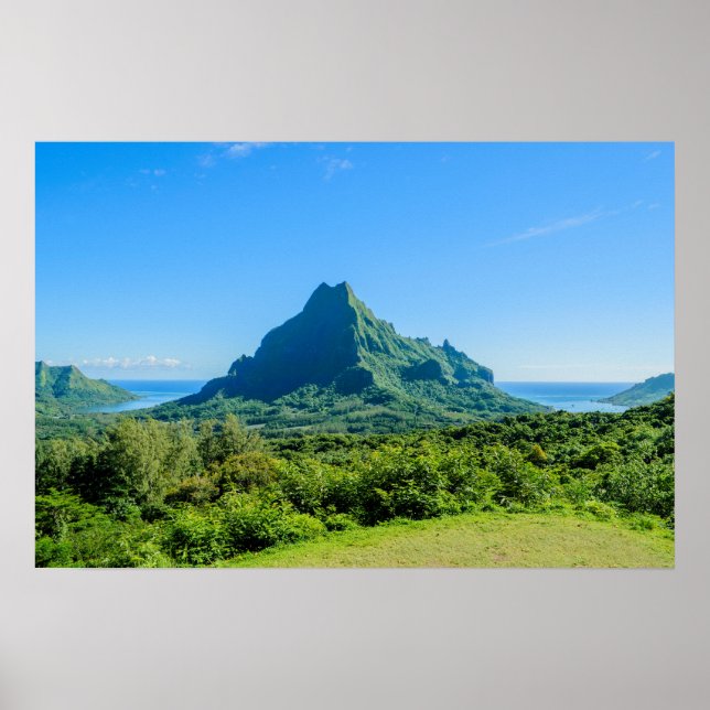 Tropengrün-Moorea-Poster Poster (Vorne)