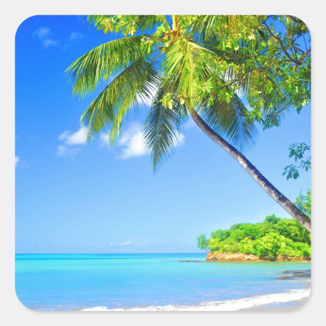 Tropeninsel Quadratischer Aufkleber (Vorderseite)