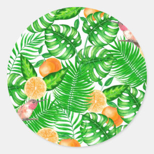 Tropenmuster, Kolibris II Runder Aufkleber