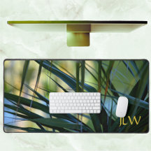 Tropenpalmen Grün Gelb Blauer Naturschutz