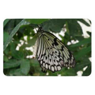 Tropenpapier Kite Butterfly Flexi Magnet
