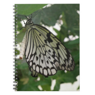 Tropenpapier Kite Butterfly-Notebook Notizblock