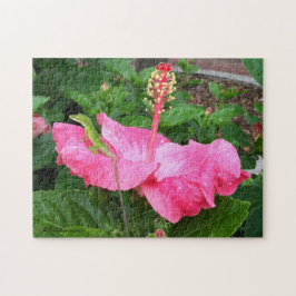 Tropenrosa Hibiskus Blume Anole Lizard Foto Puzzle