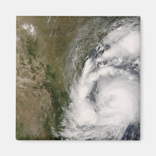 Tropensturm Dolly Magnet