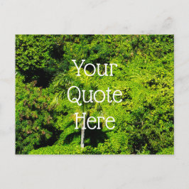 Tropenwald Postkarte