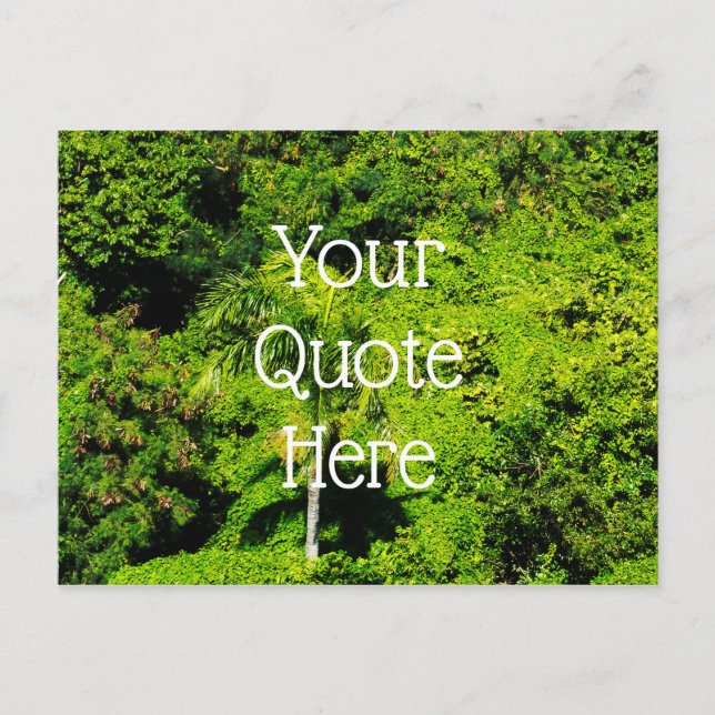 Tropenwald Postkarte (Vorderseite)
