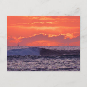 Tropenwellen Postkarte