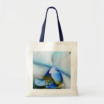 Tropfen auf blauer Orchidee