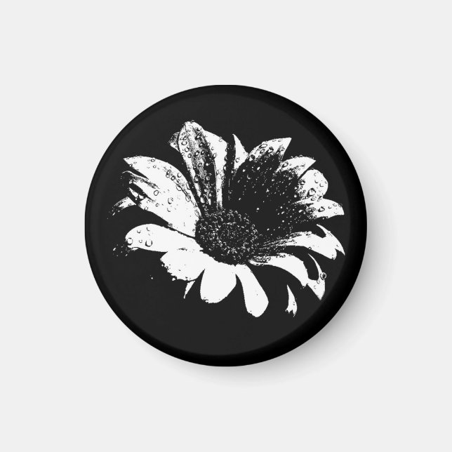 Tropfen auf Daisy Magnet (Vorne)