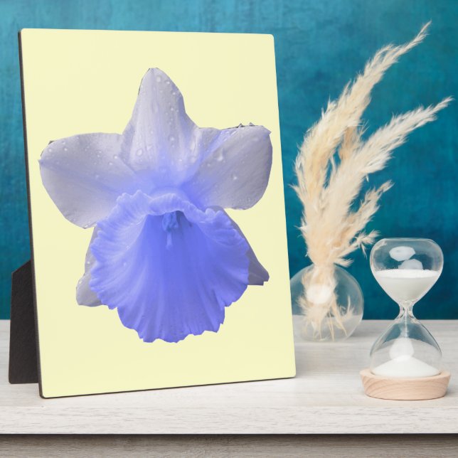 Tropfen Daffodil Blue Plaque Fotoplatte (Seite)