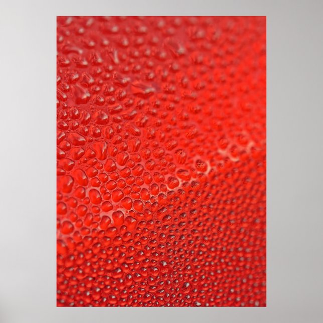 Tropfen der Morgentau Poster (Vorne)