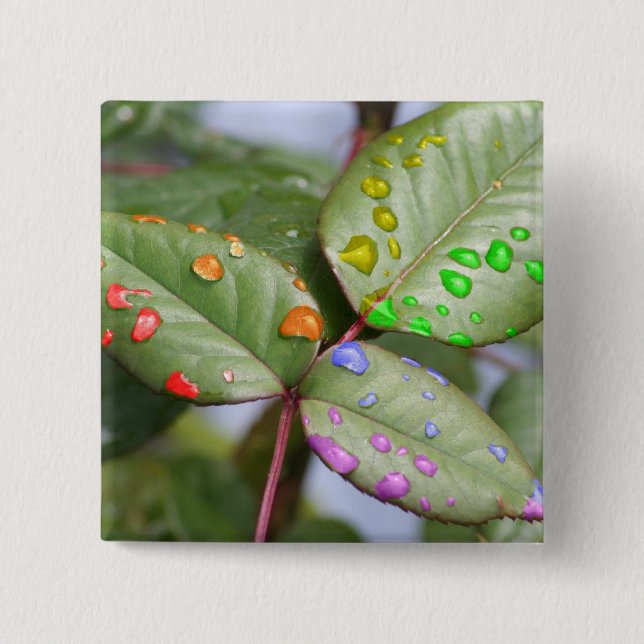 Tropfen mit Stolz Button (Vorderseite)