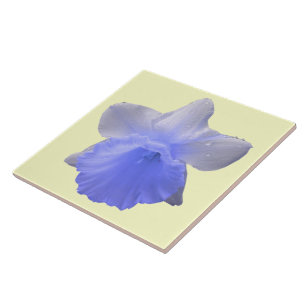 Tropfende Narzissenblaue Fliese