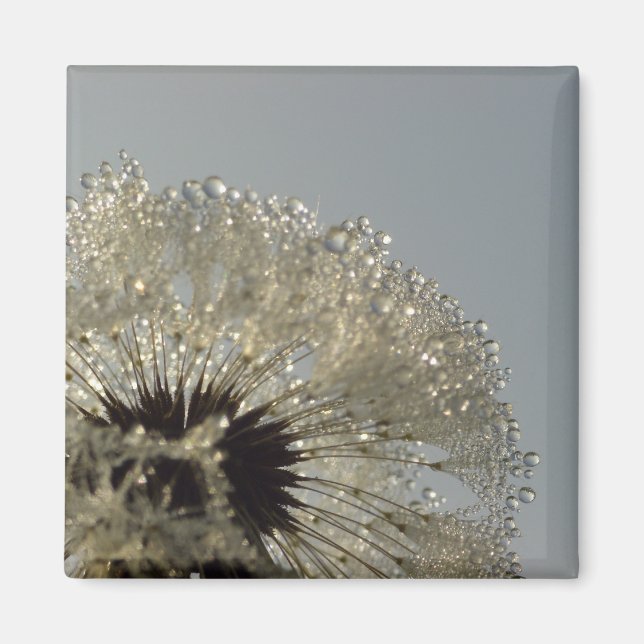 Tropfenrad Magnet (Vorne)