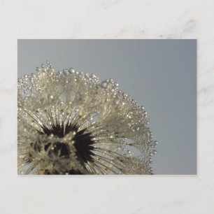 Tropfenrad Postkarte