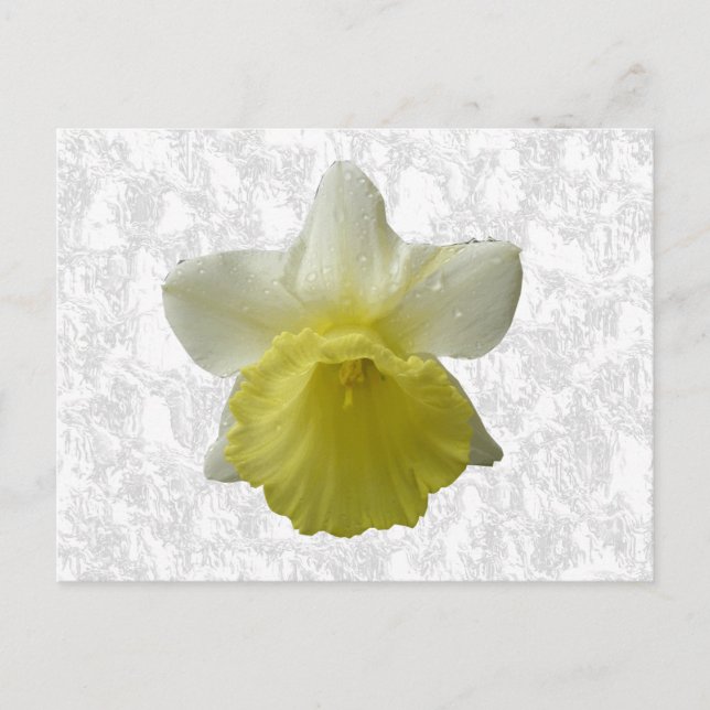 Tropftrockner Postkarte (Vorderseite)