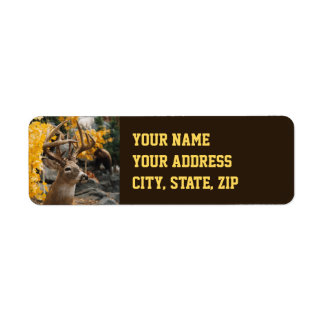 Trophy Deer