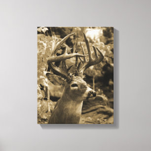 Trophy Deer Leinwanddruck